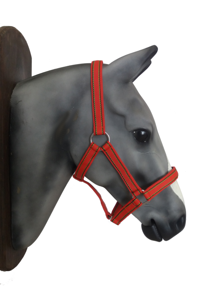 Nylon Horse Halter- available in XL sizes